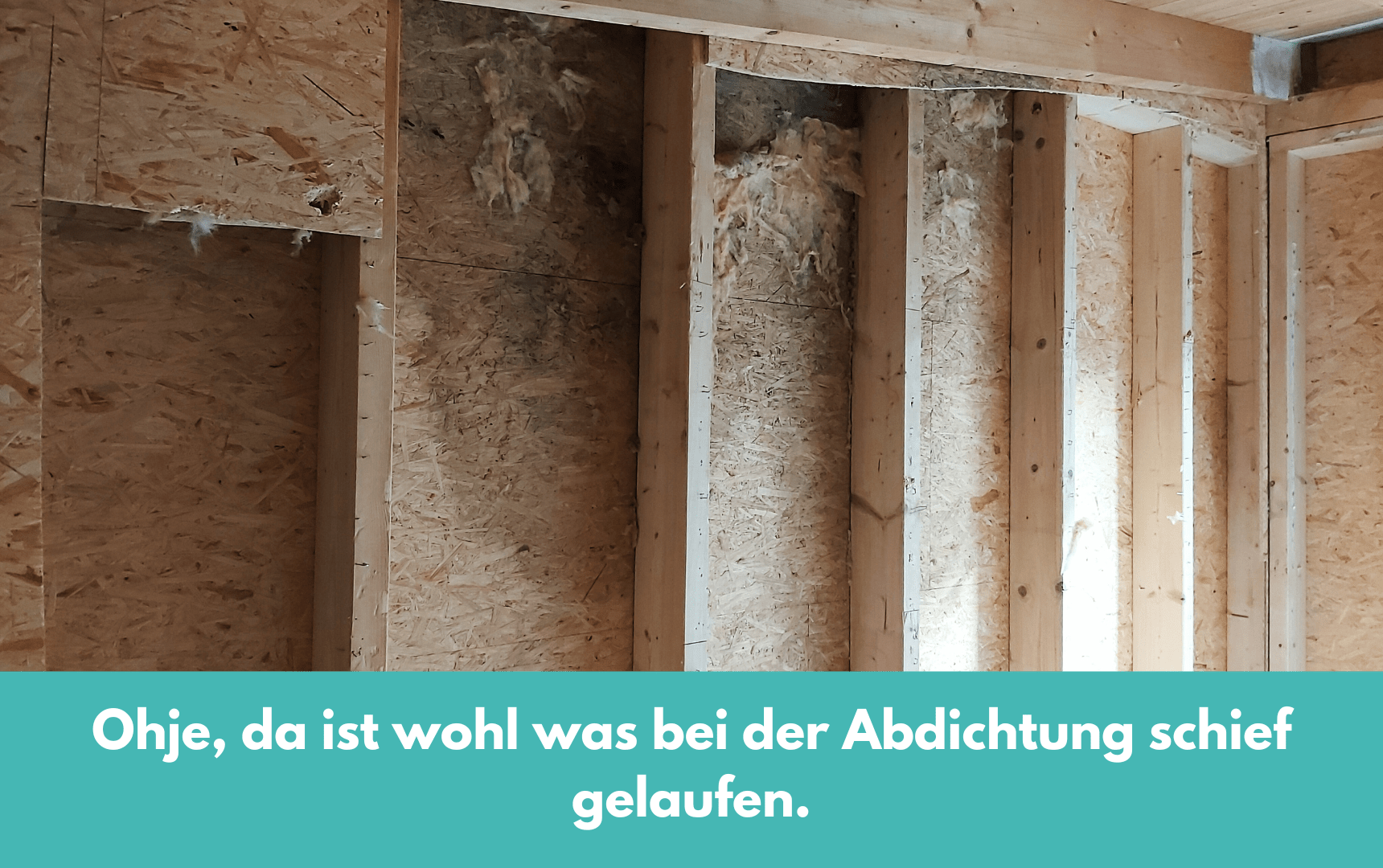 Feuchtigkeit und Schimmel in der Holzkonstruktion - BausachverstÃ¤ndige Paderborn und LÃ¼nen