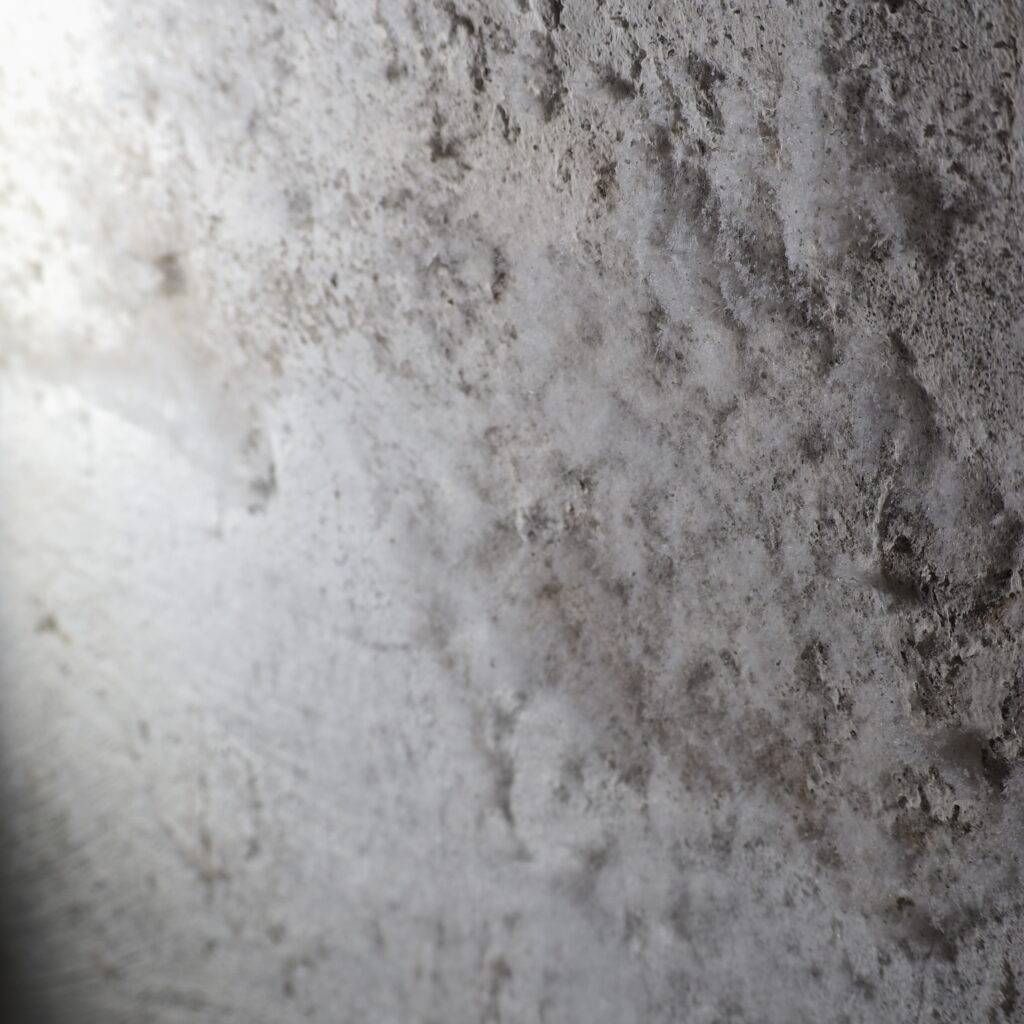 Salzausblühungen auf der Kellerwand nach eindringender Feuchtigkeit. Bausachverständige Paderborn, Lünen, Dortmund
