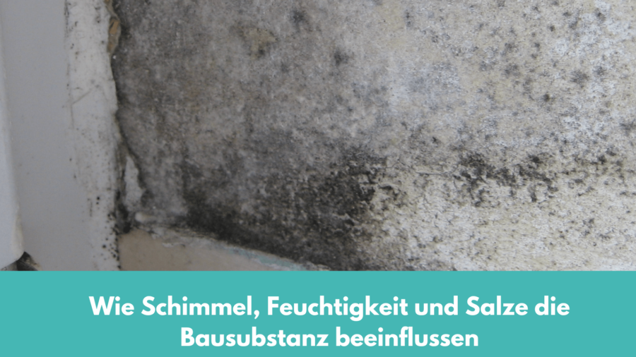 Wie Schimmel, Feuchtigkeit und Salze die Bausubstanz beeinflussen Bausachverständige Baugutachter Paderborn Lünen und Dortmund