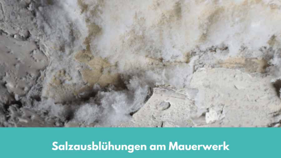 Salzausblühungen am Mauerwerk, Salze auf und in der Wand Bausachverständige, Baugutachter, Ingenieure f. Bautechnik Paderborn, Lünen, Dortmund