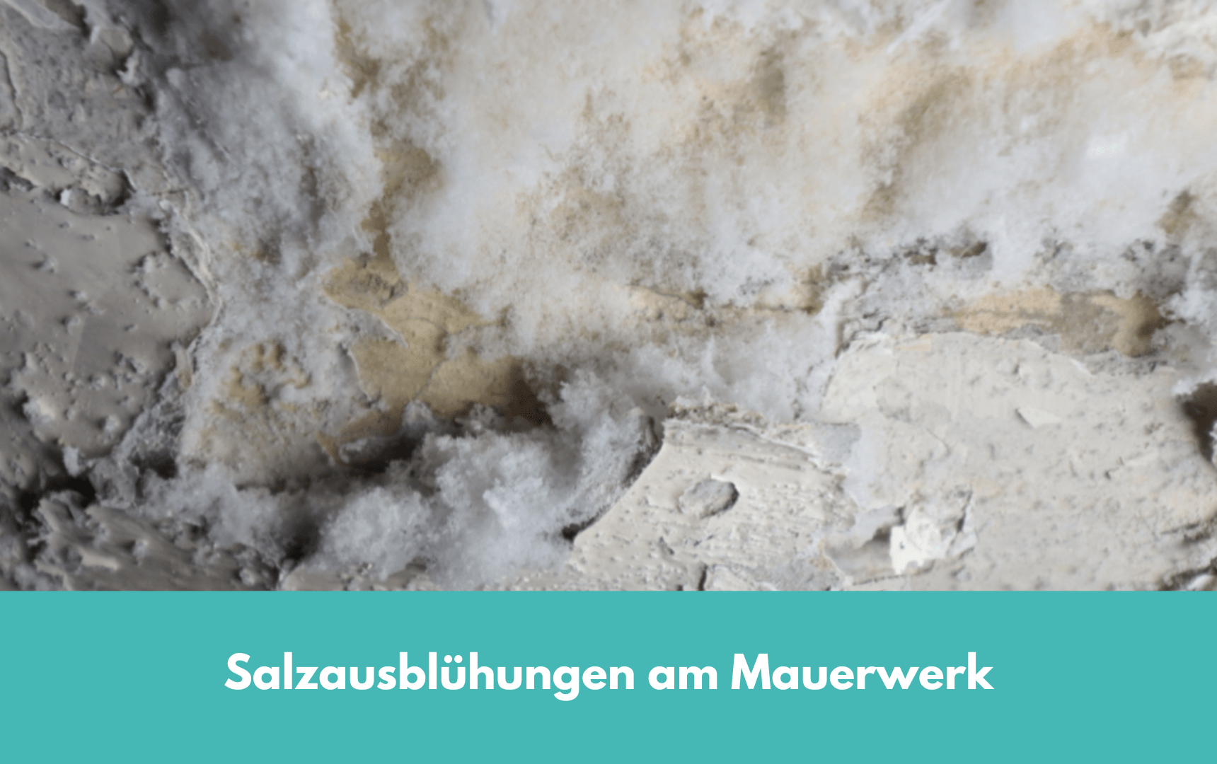 SalzausblÃ¼hungen am Mauerwerk, Salze auf und in der Wand BausachverstÃ¤ndige, Baugutachter, Ingenieure f. Bautechnik Paderborn, LÃ¼nen, Dortmund